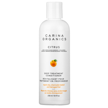 Load image into Gallery viewer, Deep Treatment Conditioner 250mL - Carina Organics