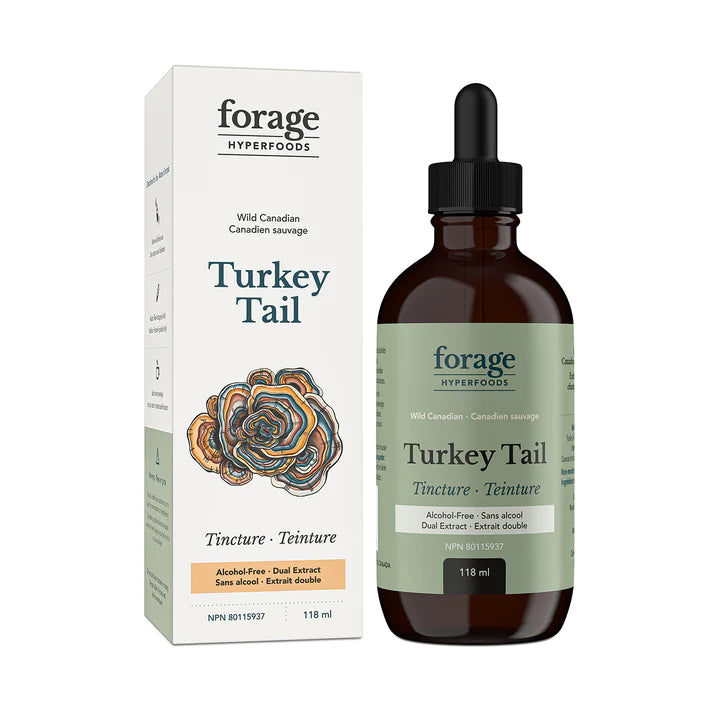 Turkey Tail Tincture Alcohol Free 118mL - Forage