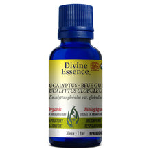 Load image into Gallery viewer, Divine Essence® Essential Oils